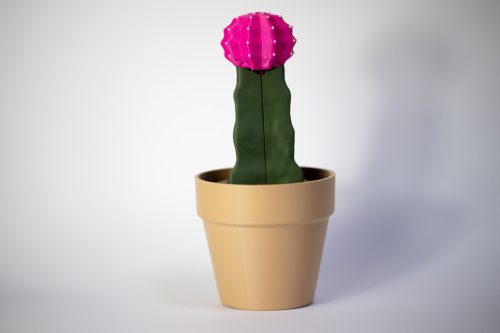 Moon kaktusz - telefontartó 