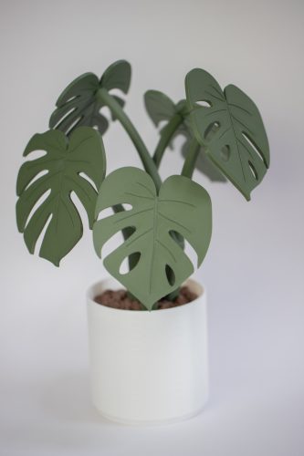 Monstera Delicosa – poháralátét